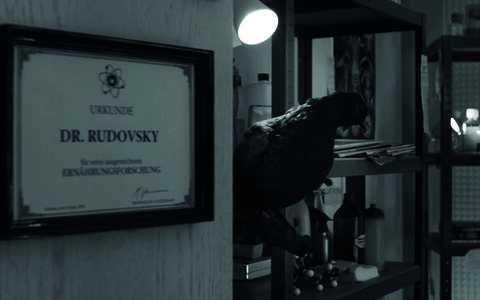  Dr. Rudovsky – Die wahre Tragödie